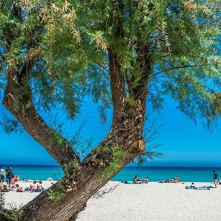 Bed & Breakfast Liberty Sul Mare 4*